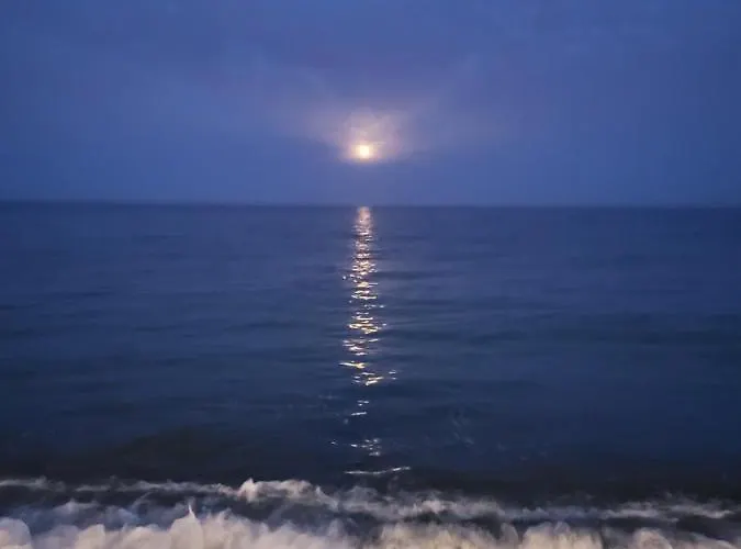 Playa La Viña P * Torremolinos