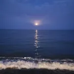 Playa La Vina P * Торремолінос